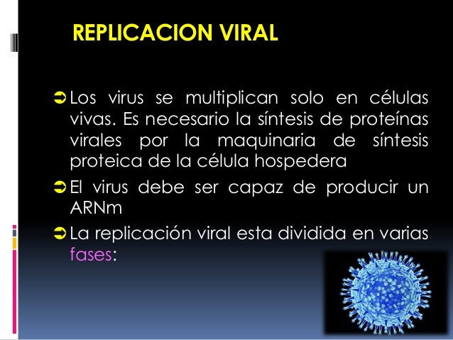 Replicacion viral