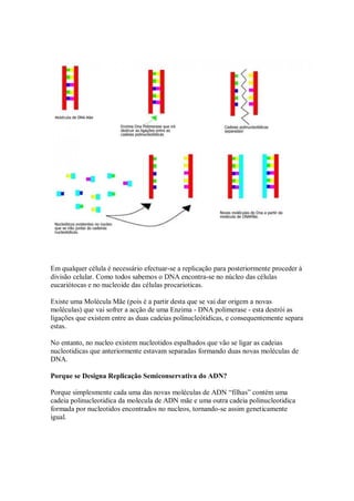 ReplicaçãO Do Dna