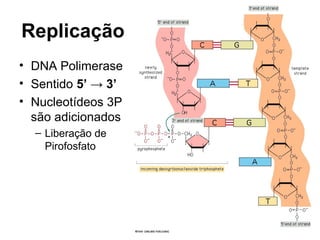 Replicação
• DNA Polimerase
• Sentido 5’ → 3’
• Nucleotídeos 3P
são adicionados
– Liberação de
Pirofosfato
 