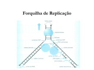 Forquilha de Replicação
 