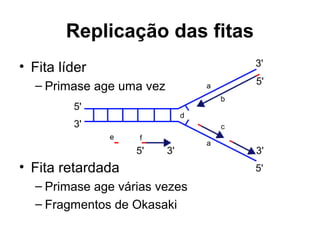 Replicação das fitas
• Fita líder
– Primase age uma vez
• Fita retardada
– Primase age várias vezes
– Fragmentos de Okasaki
 