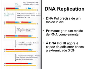 DNA Replication
• DNA Pol precisa de um
molde inicial
• Primase: gera um molde
de RNA complementar
• A DNA Pol III agora é
capaz de adicionar bases
à extremidade 3’OH
 