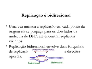 Replicação é bidirecional
• Uma vez iniciada a replicação em cada ponto da
origem ela se propaga para os dois lados da
molécula de DNA até encontrar replicons
vizinhos
• Replicação bidirecional envolve duas forquilhas
de replicação que se locomovem em direções
opostas.
 