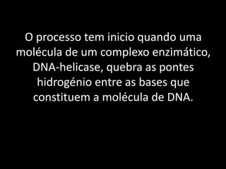 O processo tem inicio quando uma
molécula de um complexo enzimático,
  DNA-helicase, quebra as pontes
   hidrogénio entre as bases que
  constituem a molécula de DNA.
 