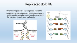 Replicação do DNA
• O primeiro passo é a separação da dupla fita
• Ocorre quebra das pontes de hidrogênio entre
as bases nitrogenadas e as fitas são separadas,
formando a forquilha de replicação
 