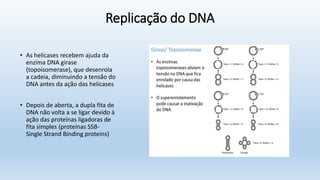 Replicação do DNA
• As helicases recebem ajuda da
enzima DNA girase
(topoisomerase), que desenrola
a cadeia, diminuindo a tensão do
DNA antes da ação das helicases
• Depois de aberta, a dupla fita de
DNA não volta a se ligar devido à
ação das proteínas ligadoras de
fita simples (proteínas SSB-
Single Strand Binding proteins)
 