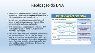 Replicação do DNA
• A replicação de DNA sempre começa em locais
específicos chamados de origens de replicação e
são reconhecidos pela sua sequência
• As helicases reconhecem esse sítio (origem)
ligam-se a ele e abrem as duas fitas de DNA
formando a forquilha de replicação
• DNA polimerases só conseguem sintetizar DNA
na direção 5' para 3', e isto é um problema
durante a replicação
• Uma dupla hélice de DNA é sempre antiparalela;
em outras palavras, uma fita vai na direção 5'
para 3', enquanto a outra vai na direção 3' para
5‘, fazendo com que seja necessário que as duas
novas fitas, que também são antiparalelas aos
seus moldes, sejam sintetizadas de maneiras
ligeiramente diferentes
 