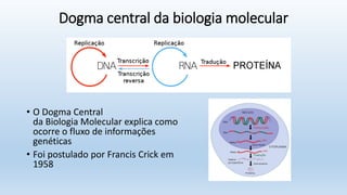 Dogma central da biologia molecular
• O Dogma Central
da Biologia Molecular explica como
ocorre o fluxo de informações
genéticas
• Foi postulado por Francis Crick em
1958
 