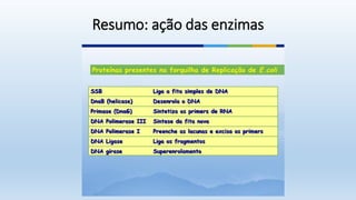 Resumo: ação das enzimas
 
