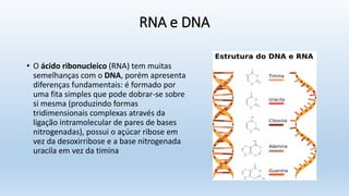 RNA e DNA
• O ácido ribonucleico (RNA) tem muitas
semelhanças com o DNA, porém apresenta
diferenças fundamentais: é formado por
uma fita simples que pode dobrar-se sobre
si mesma (produzindo formas
tridimensionais complexas através da
ligação intramolecular de pares de bases
nitrogenadas), possui o açúcar ribose em
vez da desoxirribose e a base nitrogenada
uracila em vez da timina
 