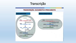 Transcrição
 