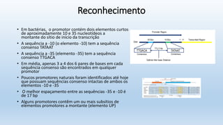 Reconhecimento
• Em bactérias, o promotor contém dois elementos curtos
de aproximadamente 10 e 35 nucleotídeos a
montante do sítio de início da transcrição
• A sequência a -10 (o elemento -10) tem a sequência
consenso TATAAT
• A sequência a -35 (elemento -35) tem a sequência
consenso TTGACA
• Em média, apenas 3 a 4 dos 6 pares de bases em cada
sequência consenso são encontrados em qualquer
promotor
• Poucos promotores naturais foram identificados até hoje
que possuam sequências consenso intactas de ambos os
elementos -10 e -35
• O melhor espaçamento entre as sequências -35 e -10 é
de 17 bp
• Alguns promotores contêm um ou mais subsítios de
elementos promotores a montante (elemento UP)
 