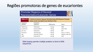 Regiões promotoras de genes de eucariontes
 