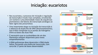 Iniciação: eucariotos
• Nos eucariotos, o processo de iniciação e regulação
da transcrição é muito mais complexo, envolvendo
um número e uma diversidade maior de sequências
promotoras e de fatores de transcrição (análogos ao
fator sigma dos procariotos)
• Uma importante etapa na iniciação da transcrição é
a abertura da dupla fita de DNA (desenovelamento),
que é feito rompendo-se as pontes de hidrogênio
entre as bases das duas fitas
• É necessário que os nucleotídeos de um dos
filamentos estejam disponíveis para novos
emparelhamentos
• A RNA polimerase deve desenrolar o DNA dupla
hélice, formando uma bolha de transcrição, com
cerca de 17 pares de bases desenrolados
 