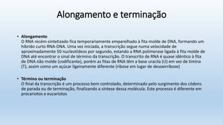 Alongamento e terminação
• Alongamento
O RNA recém-sintetizado fica temporariamente emparelhado à fita molde de DNA, formando um
híbrido curto RNA-DNA. Uma vez iniciada, a transcrição segue numa velocidade de
aproximadamente 50 nucleotídeos por segundo, estando a RNA polimerase ligada à fita molde de
DNA até encontrar o sinal de término da transcrição. O transcrito de RNA é quase idêntico à fita
de DNA não molde (codificante), porém as fitas de RNA têm a base uracila (U) em vez de timina
(T), assim como um açúcar ligeiramente diferente (ribose em lugar de desoxirribose)
• Término ou terminação
O final da transcrição é um processo bem controlado, determinado pelo surgimento dos códons
de parada ou de terminação, finalizando a síntese dessa molécula. Este processo é diferente em
procariotos e eucariotos
 
