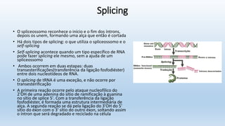 Splicing
• O spliceossomo reconhece o início e o fim dos íntrons,
depois os unem, formando uma alça que então é cortada
• Há dois tipos de splicing: o que utiliza o spliceossomo e o
self-splicing
• Self-splicing acontece quando um tipo específico de RNA
pode fazer splicing ele mesmo, sem a ajuda de um
spliceossomo
• Ambos ocorrem em duas estapas: duas
transesterificações(transferência da ligação fosfodiéster)
entre dois nucleotídeos de RNA.
• O splicing de tRNA é uma exceção, e não ocorre por
transesterificação
• A primeira reação ocorre pelo ataque nucleofílico do
2'OH de uma adenina do sítio de ramificação à guanina
no sítio de splice 5'. Com a transferência da ligação
fosfodiéster, é formada uma estrutura intermediária de
alça. A segunda reação se dá pela ligação do 3'OH do 5'
sítio do éxon com o 3' sítio do outro éxon, soltando assim
o íntron que será degradado e reciclado na célula
 