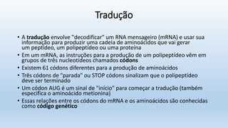 Tradução
• A tradução envolve "decodificar" um RNA mensageiro (mRNA) e usar sua
informação para produzir uma cadeia de aminoácidos que vai gerar
um peptídeo, um polipeptídeo ou uma proteína
• Em um mRNA, as instruções para a produção de um polipeptídeo vêm em
grupos de três nucleotídeos chamados códons
• Existem 61 códons diferentes para a produção de aminoácidos
• Três códons de "parada" ou STOP códons sinalizam que o polipeptídeo
deve ser terminado
• Um códon AUG é um sinal de "início" para começar a tradução (também
especifica o aminoácido metionina)
• Essas relações entre os códons do mRNA e os aminoácidos são conhecidas
como código genético
 