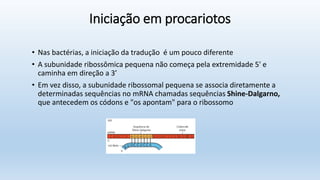 Iniciação em procariotos
• Nas bactérias, a iniciação da tradução é um pouco diferente
• A subunidade ribossômica pequena não começa pela extremidade 5' e
caminha em direção a 3’
• Em vez disso, a subunidade ribossomal pequena se associa diretamente a
determinadas sequências no mRNA chamadas sequências Shine-Dalgarno,
que antecedem os códons e "os apontam" para o ribossomo
 