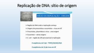 Replicação de DNA: sítio de origem
 