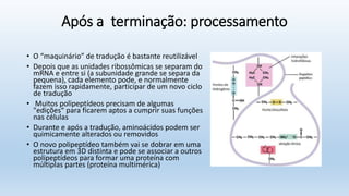 Após a terminação: processamento
• O “maquinário” de tradução é bastante reutilizável
• Depois que as unidades ribossômicas se separam do
mRNA e entre si (a subunidade grande se separa da
pequena), cada elemento pode, e normalmente
fazem isso rapidamente, participar de um novo ciclo
de tradução
• Muitos polipeptídeos precisam de algumas
"edições“ para ficarem aptos a cumprir suas funções
nas células
• Durante e após a tradução, aminoácidos podem ser
quimicamente alterados ou removidos
• O novo polipeptídeo também vai se dobrar em uma
estrutura em 3D distinta e pode se associar a outros
polipeptídeos para formar uma proteína com
múltiplas partes (proteína multimérica)
 