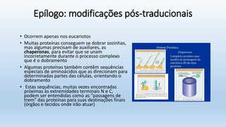 Epílogo: modificações pós-traducionais
• Ocorrem apenas nos eucariotos
• Muitas proteínas conseguem se dobrar sozinhas,
mas algumas precisam de auxiliares, as
chaperonas, para evitar que se unam
incorretamente durante o processo complexo
que é o dobramento
• Algumas proteínas também contêm sequências
especiais de aminoácidos que as direcionam para
determinadas partes das células, orientando o
dobramento
• Estas sequências, muitas vezes encontradas
próximas às extremidades terminais N e C,
podem ser entendidas como as "passagens de
trem" das proteínas para suas destinações finais
(órgãos e tecidos onde irão atuar)
 