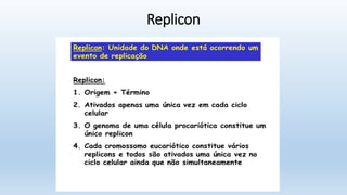 Replicon
 