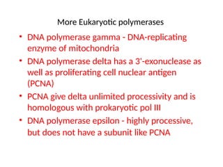 Processivity Replication process in detail along with pictorial representation | PPTX
