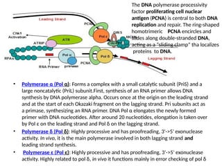 Replication process in detail along with pictorial representation | PPTX
