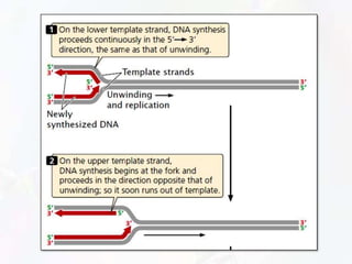 Replication | PPTX