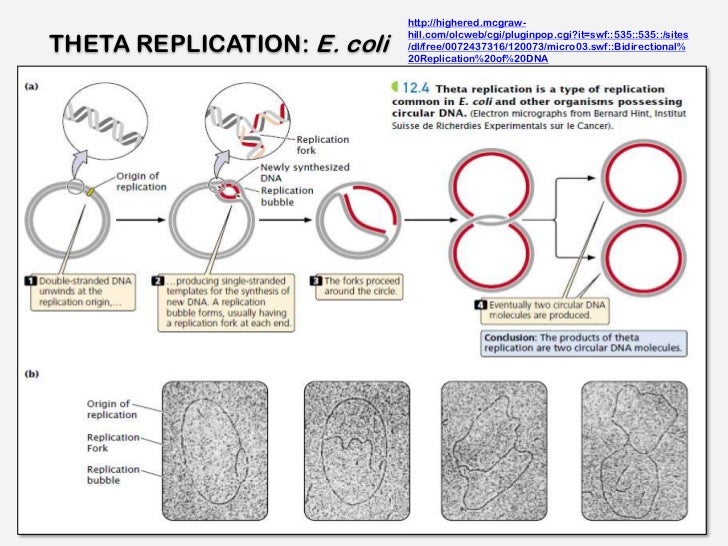 Replication