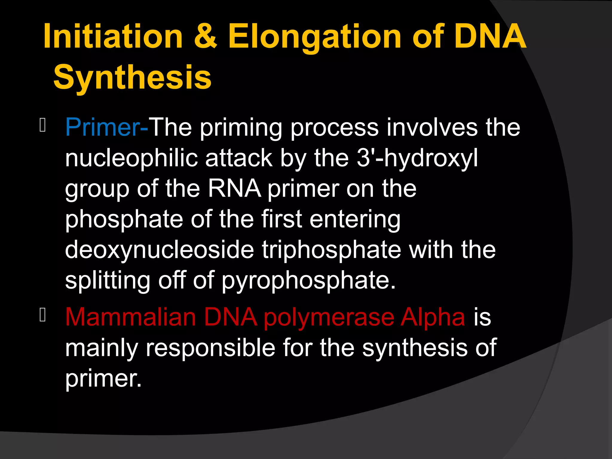 DNA Replication | PPT