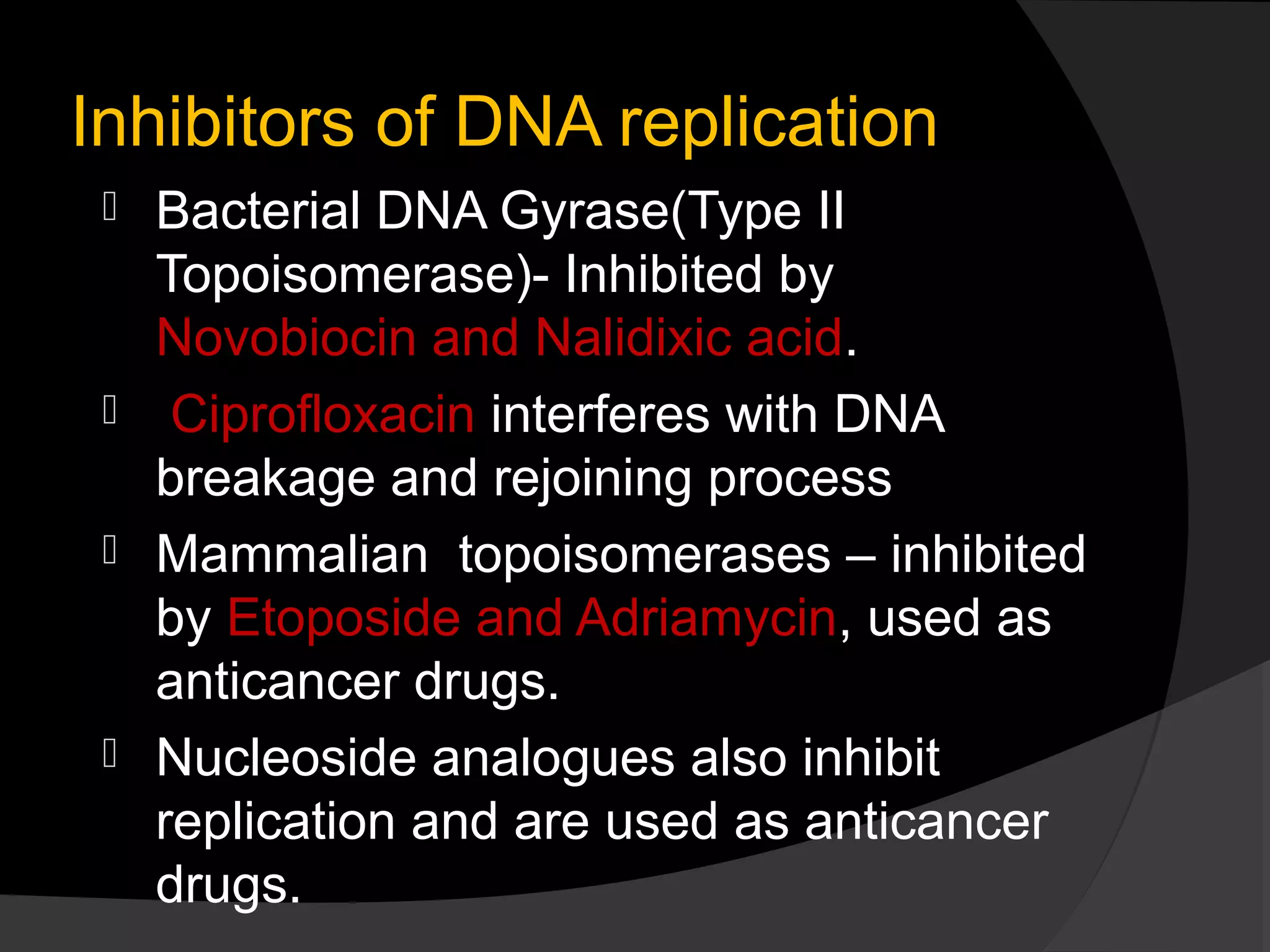 Replication Inhibitors DNA Replication | PPT