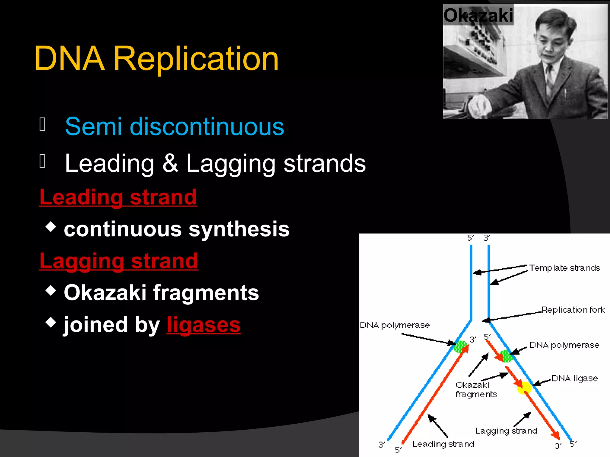 DNA Replication | PPT