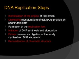 DNA Replication-Steps
   Identification of the origins of replication
   Unwinding (denaturation) of dsDNA to provide an
    ssDNA template
   Formation of the replication fork
   Initiation of DNA synthesis and elongation
   Primer removal and ligation of the newly
    synthesized DNA segments
   Reconstitution of chromatin structure
 