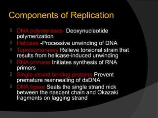 Components of Replication
   DNA polymerases- Deoxynucleotide
    polymerization
   Helicase -Processive unwinding of DNA
   Topoisomerases Relieve torsional strain that
    results from helicase-induced unwinding
   RNA primase Initiates synthesis of RNA
    primers
   Single-strand binding proteins Prevent
    premature reannealing of dsDNA
   DNA ligase Seals the single strand nick
    between the nascent chain and Okazaki
    fragments on lagging strand
 