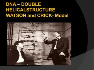DNA – DOUBLE
HELICALSTRUCTURE
WATSON and CRICK- Model
 