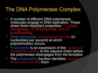 The DNA Polymerase Complex
 A number of different DNA polymerase
  molecules engage in DNA replication. These
  share three important properties: (1) chain
  elongation, (2) Processivity, and (3)
  proofreading.
 Chain elongation accounts for the rate (in
  nucleotides per second) at which
  polymerization occurs.
 Processivity is an expression of the number of
  nucleotides added to the nascent chain before
  the polymerase disengages from the template.
 The proofreading function identifies copying
  errors and corrects them
 