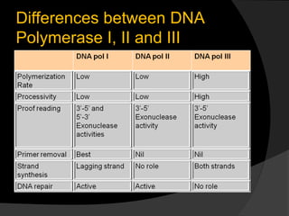 Differences between DNA
Polymerase I, II and III
 