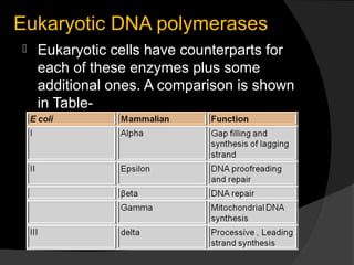 Eukaryotic DNA polymerases
   Eukaryotic cells have counterparts for
    each of these enzymes plus some
    additional ones. A comparison is shown
    in Table-
 