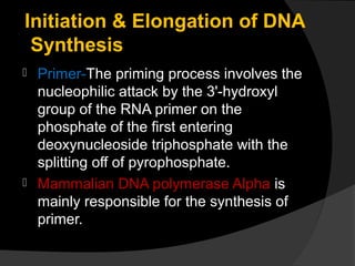 Initiation & Elongation of DNA
 Synthesis
 Primer-The priming process involves the
  nucleophilic attack by the 3'-hydroxyl
  group of the RNA primer on the
  phosphate of the first entering
  deoxynucleoside triphosphate with the
  splitting off of pyrophosphate.
 Mammalian DNA polymerase Alpha is
  mainly responsible for the synthesis of
  primer.
 