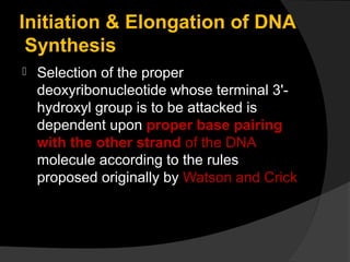 Initiation & Elongation of DNA
 Synthesis
   Selection of the proper
    deoxyribonucleotide whose terminal 3'-
    hydroxyl group is to be attacked is
    dependent upon proper base pairing
    with the other strand of the DNA
    molecule according to the rules
    proposed originally by Watson and Crick
 