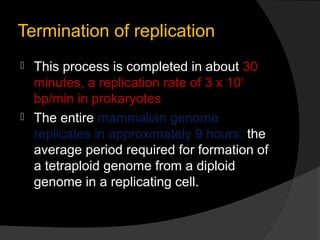 Termination of replication
 This process is completed in about 30
  minutes, a replication rate of 3 x 105
  bp/min in prokaryotes
 The entire mammalian genome
  replicates in approximately 9 hours, the
  average period required for formation of
  a tetraploid genome from a diploid
  genome in a replicating cell.
 