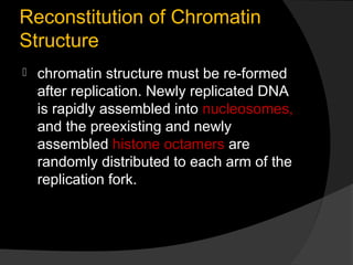 Reconstitution of Chromatin
Structure
   chromatin structure must be re-formed
    after replication. Newly replicated DNA
    is rapidly assembled into nucleosomes,
    and the preexisting and newly
    assembled histone octamers are
    randomly distributed to each arm of the
    replication fork.
 