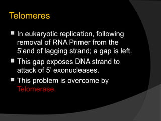 Telomeres
 In eukaryotic replication, following
  removal of RNA Primer from the
  5’end of lagging strand; a gap is left.
 This gap exposes DNA strand to
  attack of 5’ exonucleases.
 This problem is overcome by
  Telomerase.
 