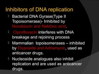 Inhibitors of DNA replication
  Bacterial DNA Gyrase(Type II
   Topoisomerase)- Inhibited by
   Novobiocin and Nalidixic acid.
  Ciprofloxacin interferes with DNA
   breakage and rejoining process
  Mammalian topoisomerases – inhibited
   by Etoposide and Adriamycin, used as
   anticancer drugs.
  Nucleoside analogues also inhibit
   replication and are used as anticancer
   drugs.
 