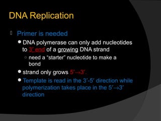 DNA Replication
   Primer is needed
    DNA polymerase can only add nucleotides
     to 3′ end of a growing DNA strand
      ○ need a “starter” nucleotide to make a
        bond
    strand only grows 5′→3′.
    Template is read in the 3′-5′ direction while
     polymerization takes place in the 5′→3′
     direction
 