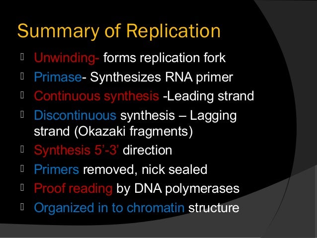 dna replication