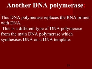 18
This DNA polymerase replaces the RNA primer
with DNA.
This is a different type of DNA polymerase
from the main DNA polymerase which
synthesises DNA on a DNA template.
Another DNA polymerase:
 