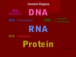 2
Central Dogma
RNA
DNA
Protein
轉錄
轉譯
Transcription
Translation
Replication
複製
逆轉錄
Reverse
Transcription
Juang RH (2004) BCbasics
 