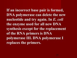 23
If an incorrect base pair is formed,
DNA polymerase can delete the new
nucleotide and try again. In E. coli
the enzyme used for all new DNA
synthesis except for the replacement
of the RNA primers is DNA
polymerase III. DNA polymerase I
replaces the primers.
 